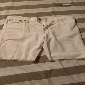 polo shorts 