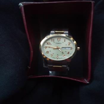 Timex Gold Platinum Watch 