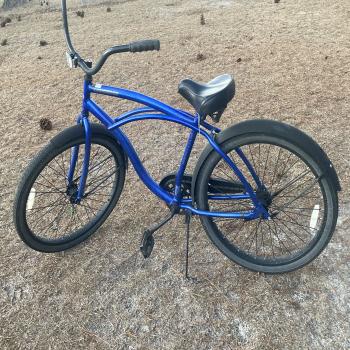 Blue cruise bike 
