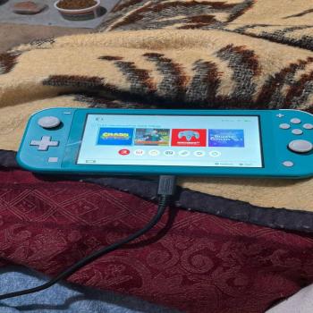Nintendo switch lite with case and one game