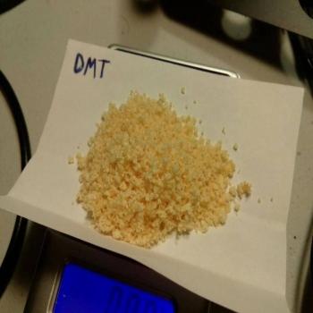 DMT powder supplies 