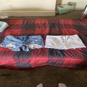 american eagle & mossimo short