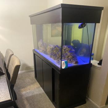 120 gallons fish tank 