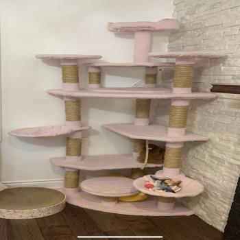 pink cat tower