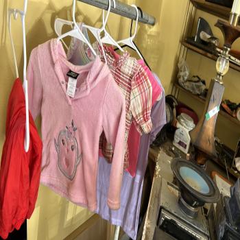 2-4 T girls clothes