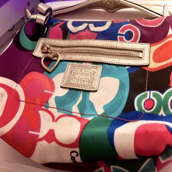 Multicolored Coach Handbag