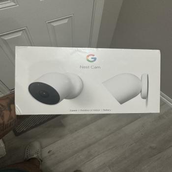 Google nest cameras 
