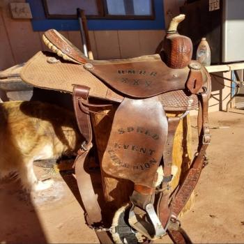 15 barrel saddle used western